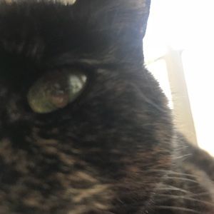 Meet your Posher, Veronica